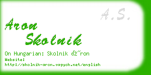 aron skolnik business card